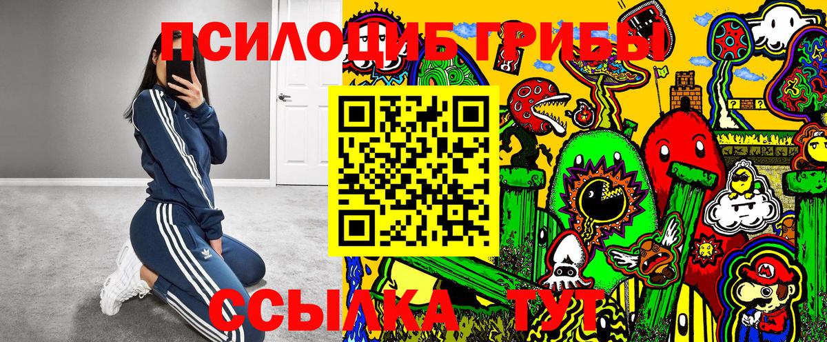 Псилоцибиновые грибы GOLDEN TEACHER Саки